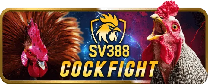 Đá gà tại AU888